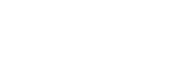 e City Hotel